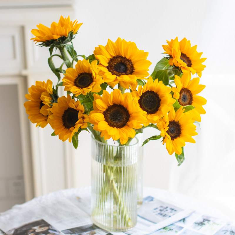 向日葵鲜花太阳花婚庆装饰水养鲜切花材朋友老师真花祝福父亲节礼 追逸garden 淘优券