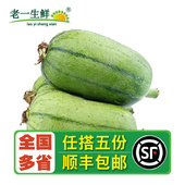 新鲜苹果丝瓜1000g圆胖肉丝瓜甜脆滑嫩 新鲜蔬菜