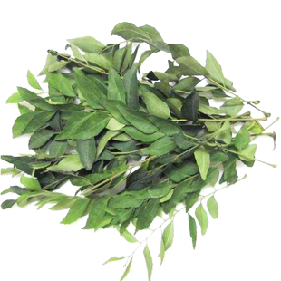 【老一生鲜】 新鲜咖喱叶 100g 新鲜香料