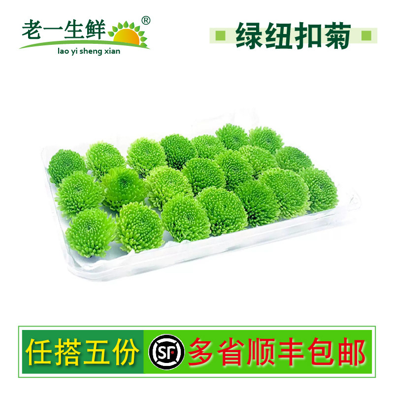 【老一生鲜】新鲜绿色纽扣菊1盒甜品蛋糕装饰太阳绿小雏菊摆盘