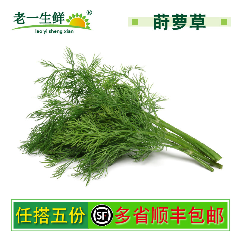 【老一生鲜】新鲜莳萝草 Dill刁草 土茴香 莳罗250g