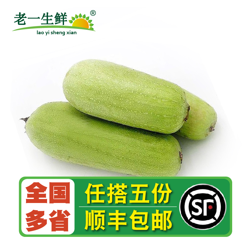 新鲜白玉丝瓜农家蔬菜短棒本地奶油肉湖南湘菜丝瓜