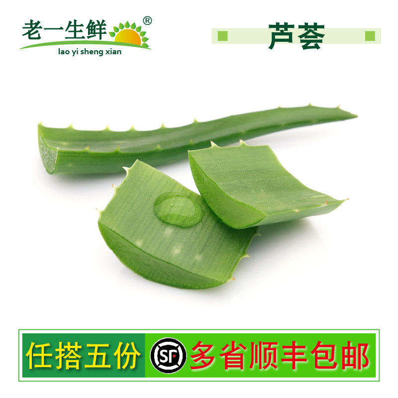 【老一生鲜】 新鲜芦荟新鲜 芦荟叶片 1500g