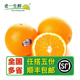 橙 新鲜橙子 500g橙子 老一生鲜
