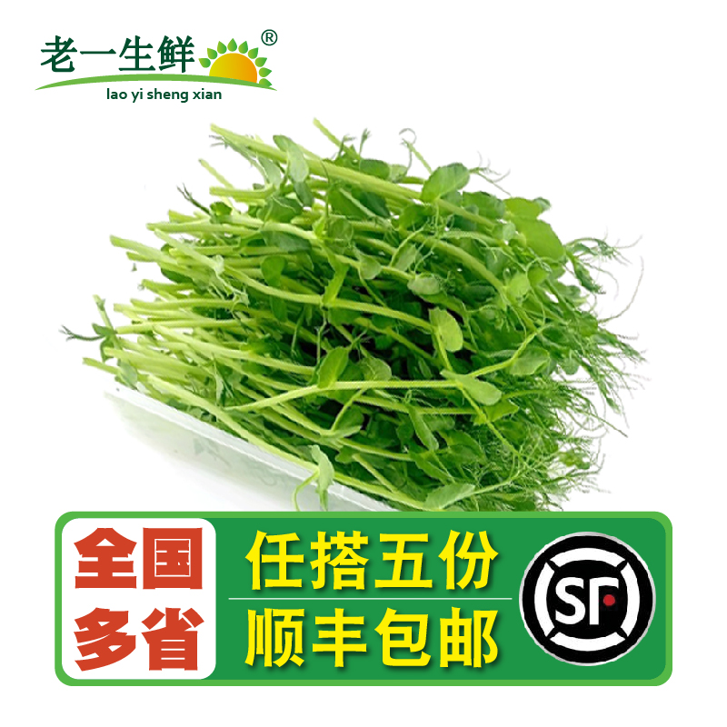新鲜璇蔓豆苗1盒豌豆苗食用芽苗菜约50g酒店西餐摆盘装饰日料点缀
