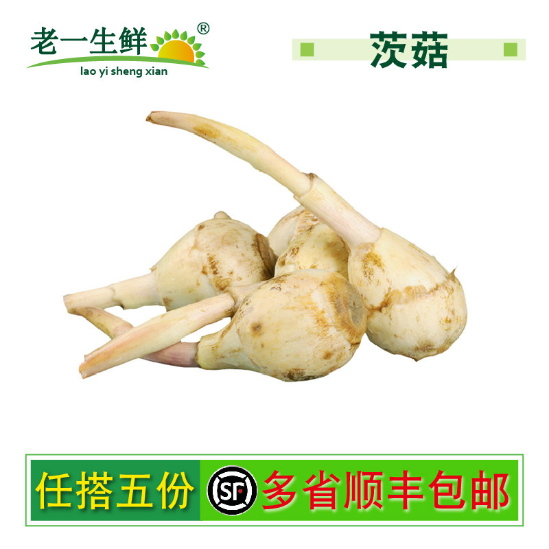 【老一生鲜】新鲜茨菇 茨菰 慈姑 白马蹄 芽头是没有的