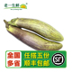 冰川茄子新鲜蔬菜脆皮茄子糯花茄脆皮烧烤酒楼特色食材500g