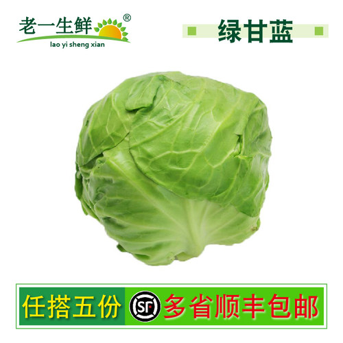 绿甘蓝，新鲜甘蓝菜蔬菜