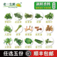 新鲜香料任选包西餐调味冬阴功南洋美食东南亚新鲜香草