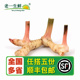 老一生鲜 冬阴功香料 新鲜泰国南姜 高良姜 500g 白皮南姜