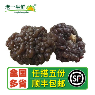 新鲜猴脑菌500g/包 核桃菌玛卡菌参花菌菇黑球菌 爽脆嫩滑火锅