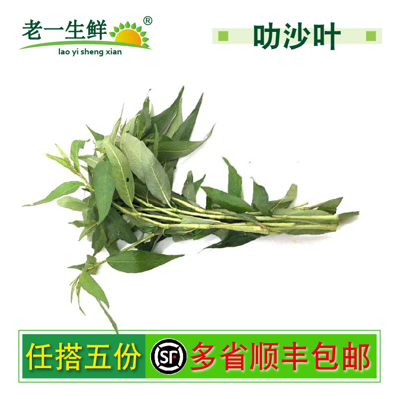 新鲜叻沙叶250g 拉沙叶laksa leaf 东南亚香料叻沙面云南香柳香菜