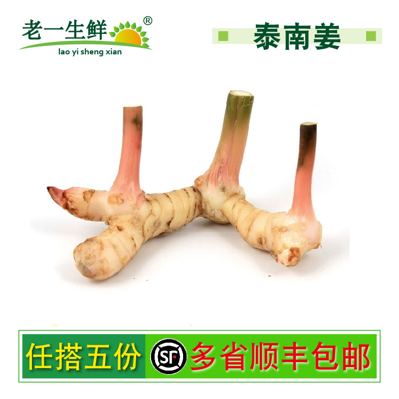 【老一生鲜】 新鲜泰国南姜 白皮南姜 高良姜 冬阴功香料 500g