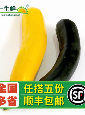 【老一生鲜】新鲜青黄西葫芦 青节瓜 黄节瓜 香料小南瓜 500g