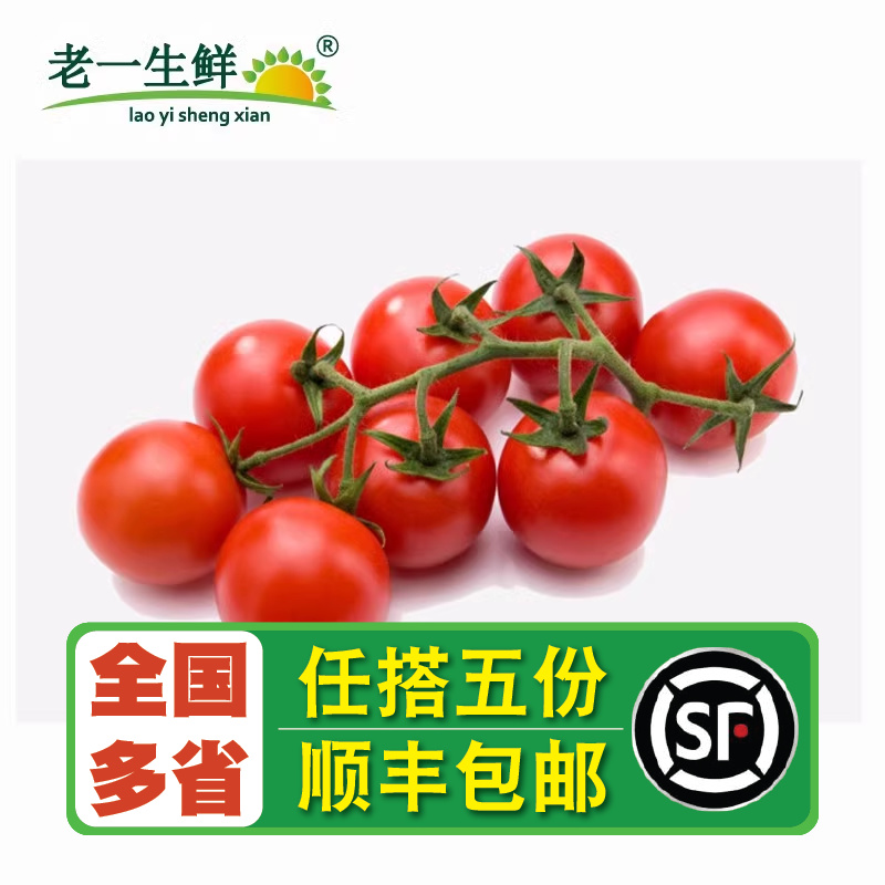 【老一生鲜】串红500g新鲜小番茄