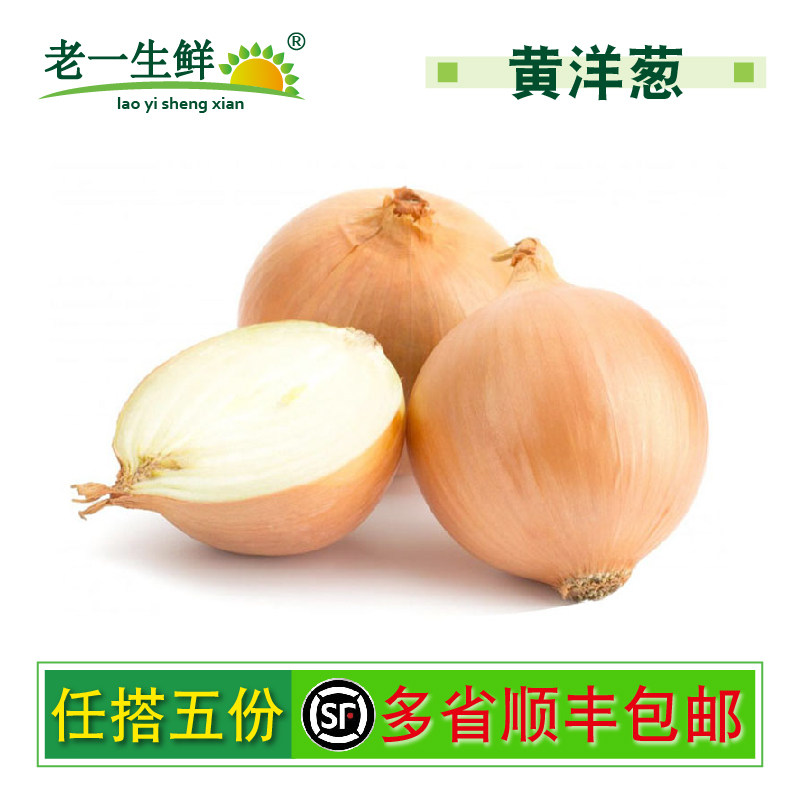 【老一生鲜】新鲜 黄洋葱 1000g(2斤装)白黄洋葱白洋葱