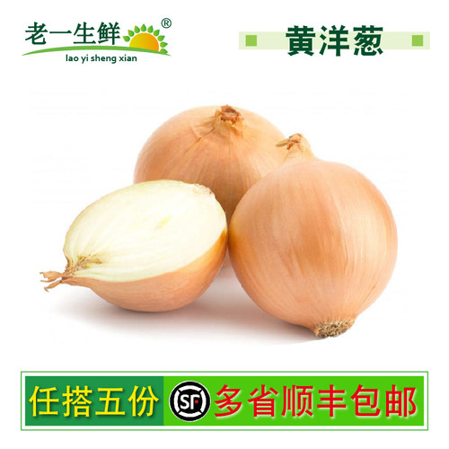 【老一生鲜】新鲜斤装黄洋葱