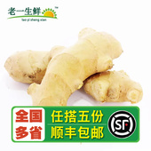 老一生鲜 山东老姜 生姜 新鲜老姜 500g