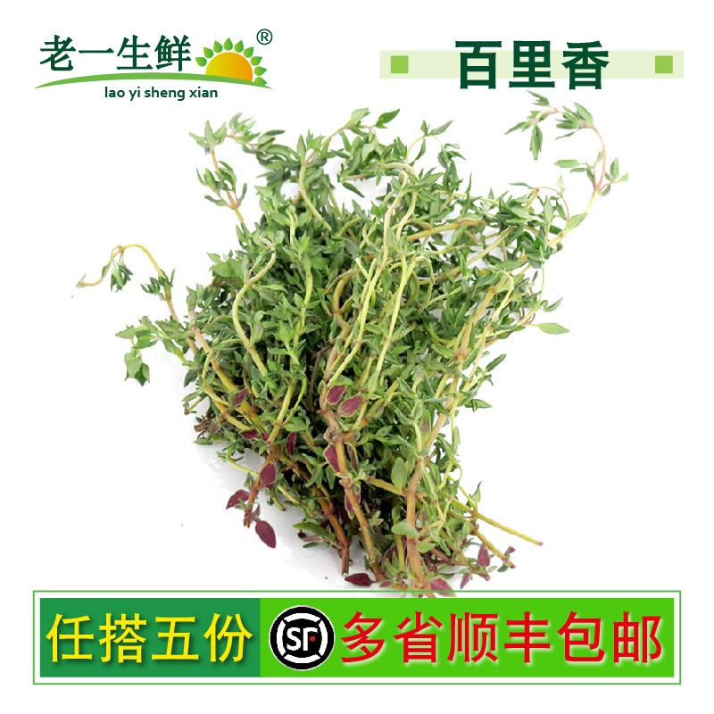【老一生鲜】新鲜香料 百里香 西餐牛排烘焙烧烤食用调料配料250g