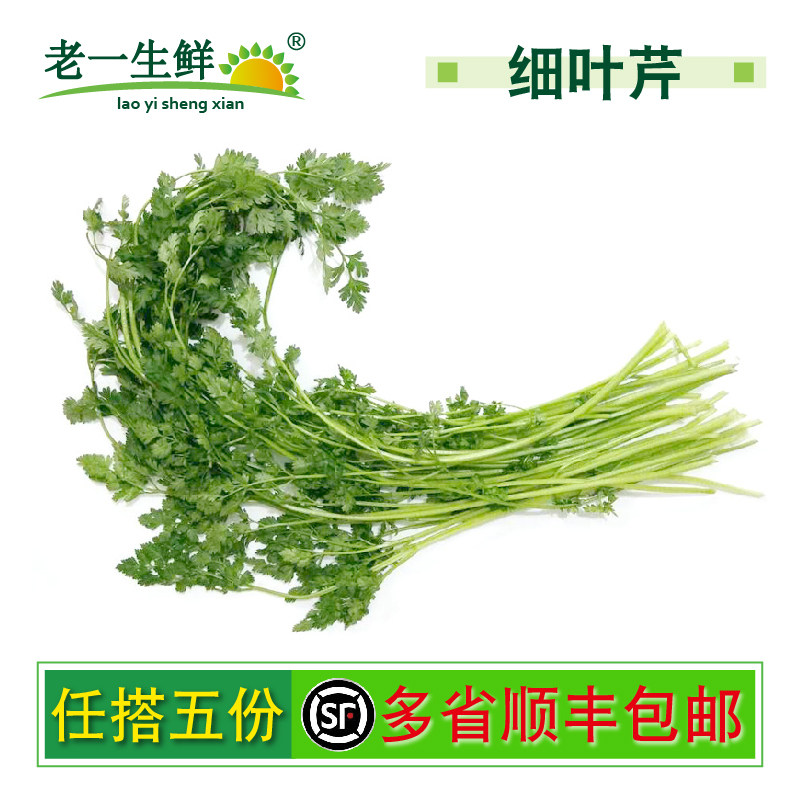 【老一生鲜】西餐香料 细叶芹  雪维菜 有喙欧芹 新鲜香料  100g