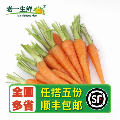 新鲜去叶500g迷你手指胡萝卜