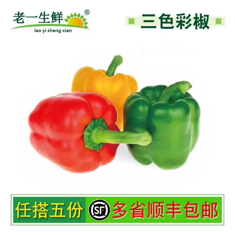 【老一生鲜】新鲜红黄绿彩椒甜椒圆椒柿子椒灯笼椒 3只装/约550g