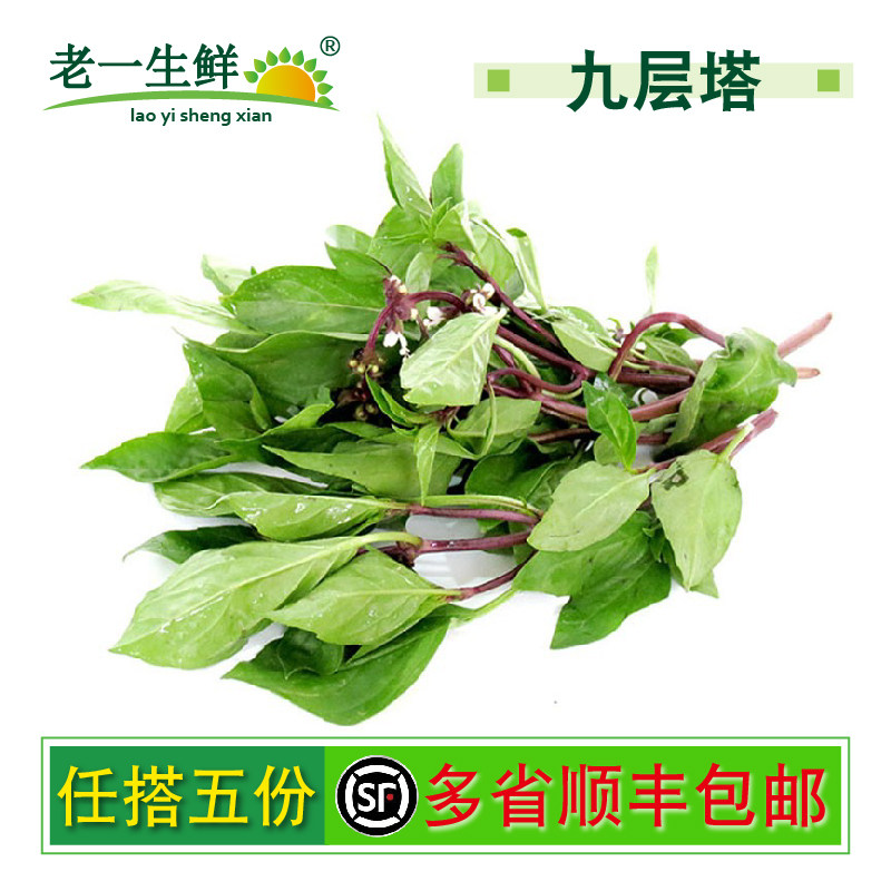 【老一生鲜】新鲜九层塔食用叶金不换鱼香草三杯鸡冬阴功香料250g