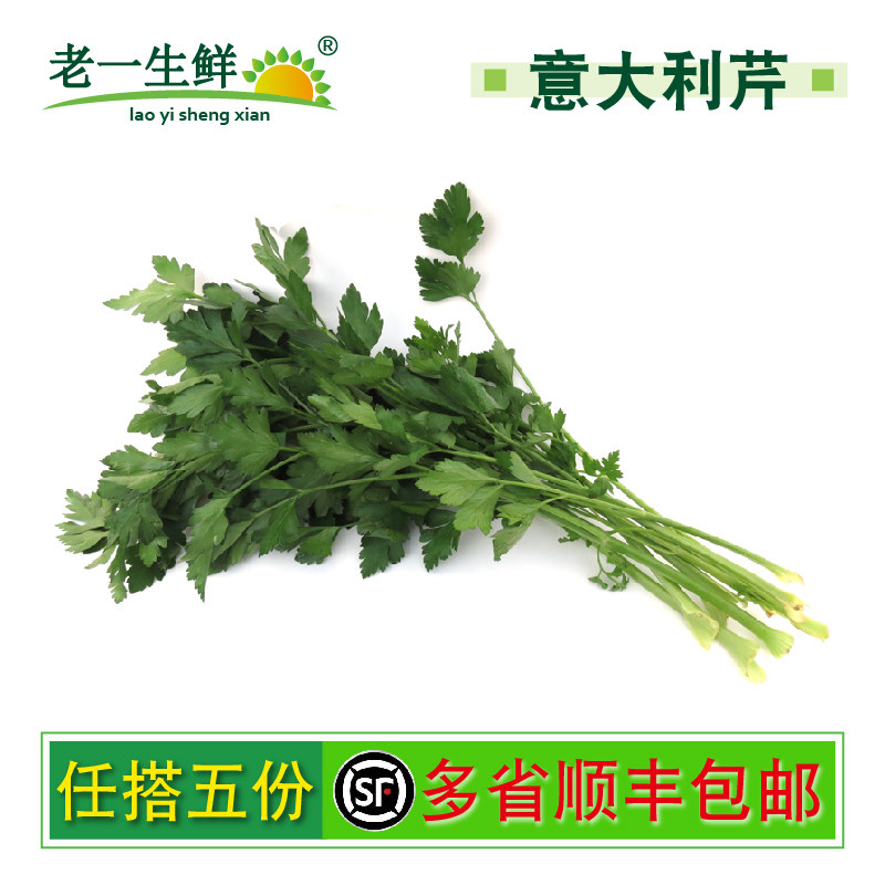 【老一生鲜】新鲜意大利芹 欧芹 巴西里 意大利香芹 250g