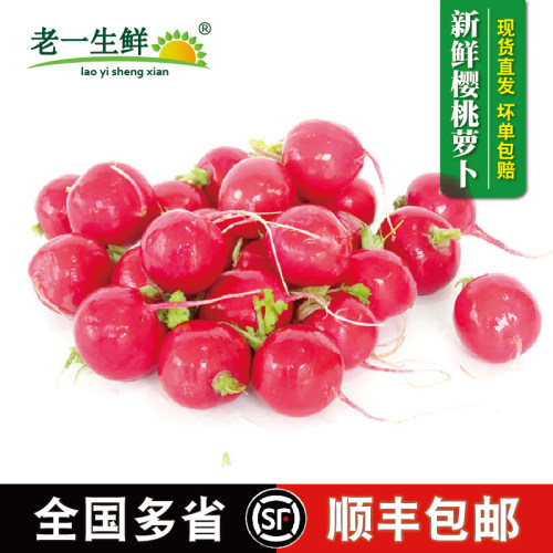 樱桃萝卜腌制生吃沙拉搭配