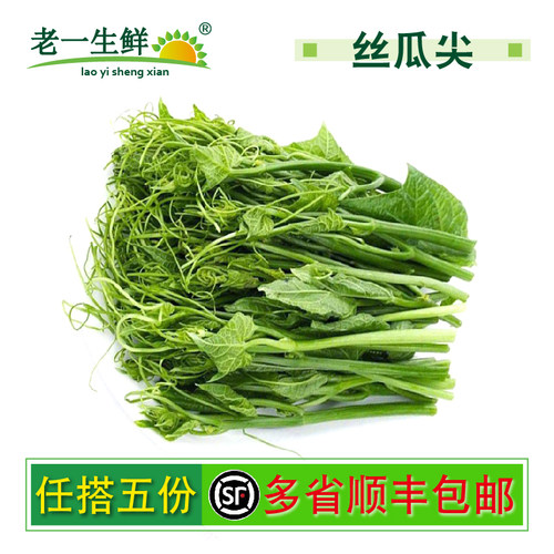 新鲜佛手瓜尖 丝瓜尖龙须菜 瓜藤