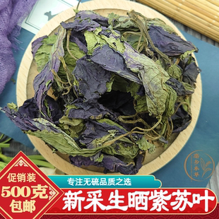 农村新采生晒紫苏叶500g包邮正宗河北野生紫苏叶纯叶无梗清香紫苏