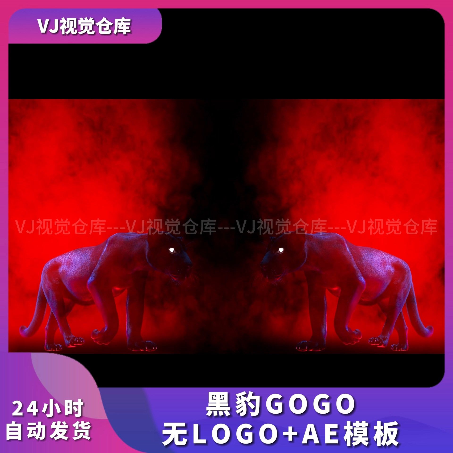 黑豹GOGO人屏无LOGO+AE模板