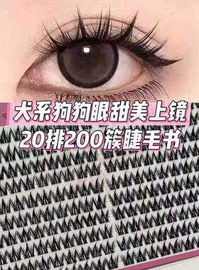200簇犬系睫毛书浓密自然假睫毛