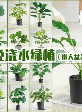 客厅摆件盆栽仿真植物盆景