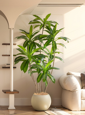 仿真绿植高端轻奢巴西木室内客厅装饰落地摆件仿生假绿植盆栽造景