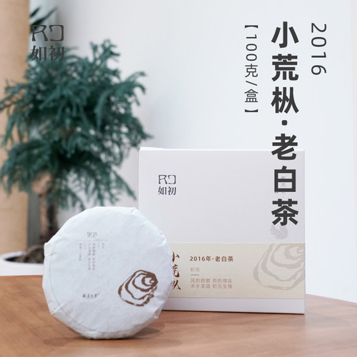 福鼎白茶寿眉如初荒枞