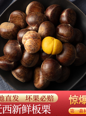 2025现挑正宗迁西板栗生新鲜3113河北燕山野生栗子大油栗坏栗包赔