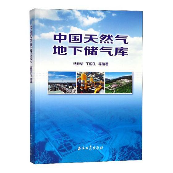 中国天然气地下储气库书马新华天然气地下储气库研究中国工业技术书籍