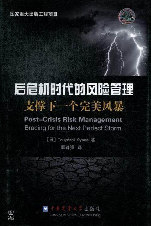 后危机时代的风险管理:bracing for the next perfect storm书金融