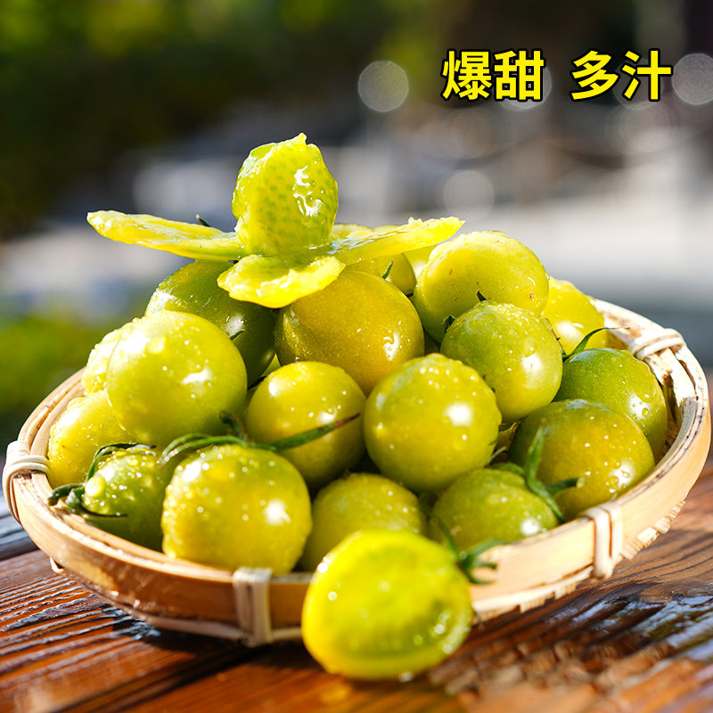 青妃番茄种子小西红柿种籽孑四季阳台盆栽,鲜花速递/花卉仿真/绿植园艺,家庭园艺种子,淘宝优惠券,粉丝福利购,淘宝优惠卷