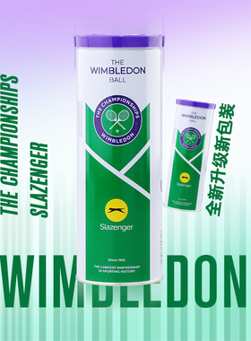 Slazenger史莱辛格网球温网比赛用球高弹单人练习初学者训练球3只