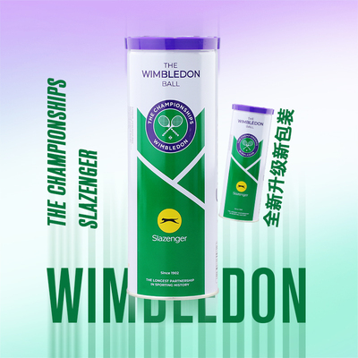 Slazenger史莱辛格网球温网比赛用球高弹单人练习初学者训练球3只