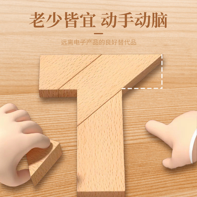 【 智力挑战益智100关】益智木质拼图教具平面几何益智寒假益智y