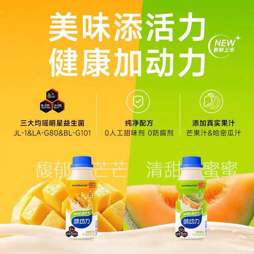 7月均瑶味动力330ml/瓶芒果味哈密瓜味乳酸菌饮品