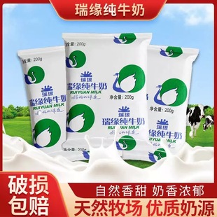 新疆瑞缘全脂纯牛奶整箱袋装早餐奶特价200ml*20袋牛奶整箱批发