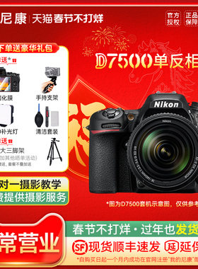 尼康D7500 单反相机 专业级 入门 高清旅游18-55 18-140 200套机