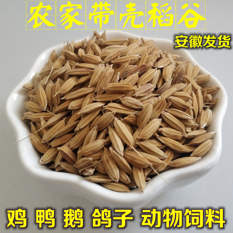 农家自种稻谷宠物饲料带壳水稻