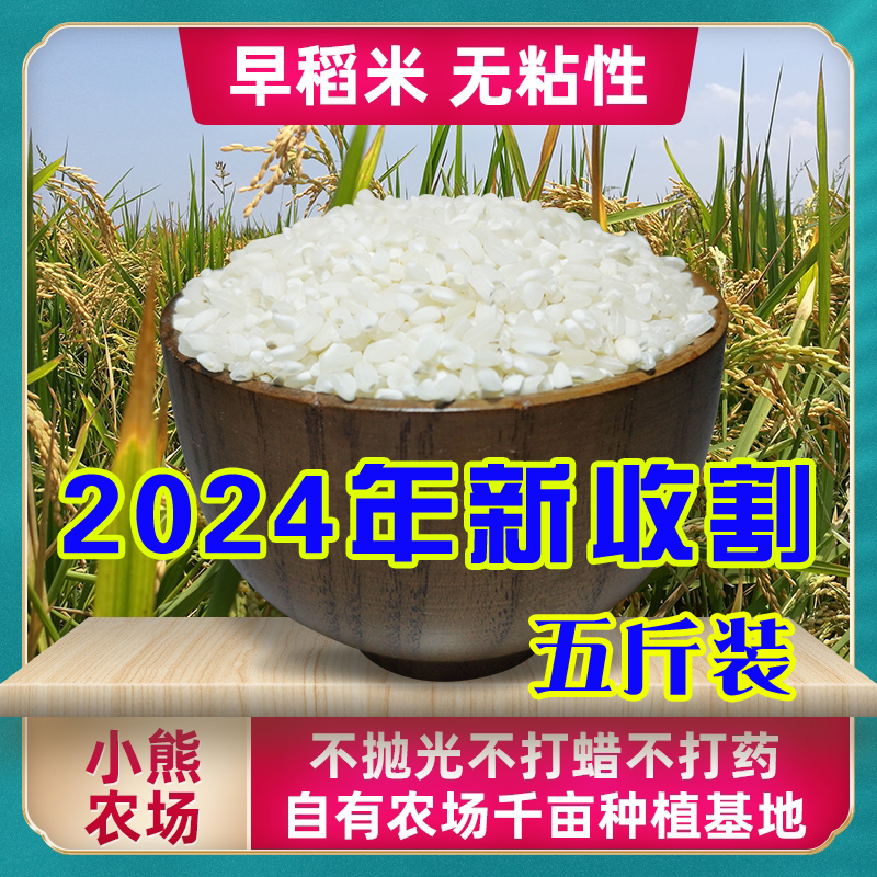 2024年新早稻米不抛光新早籼米早米无粘性蛋炒饭米新上市五斤装