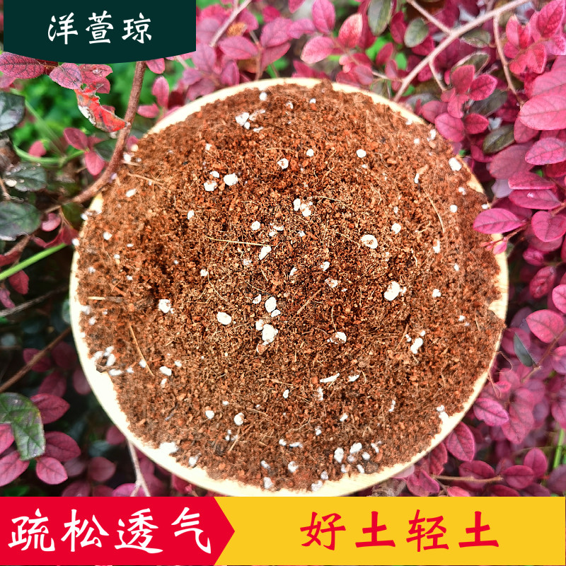 洋萱琼营养土泥炭通用肥料土壤多肉种花种菜绿萝土种植土盆栽花土