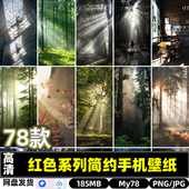 高清达尔文效应光效森林透光阳光照射手机桌面壁纸JPG图片素材集